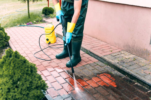 Best Building Exterior Washing  in Lake Holiday, IL