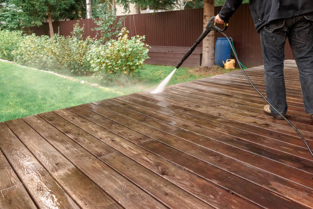 Best Rust Removal  in Lake Holiday, IL