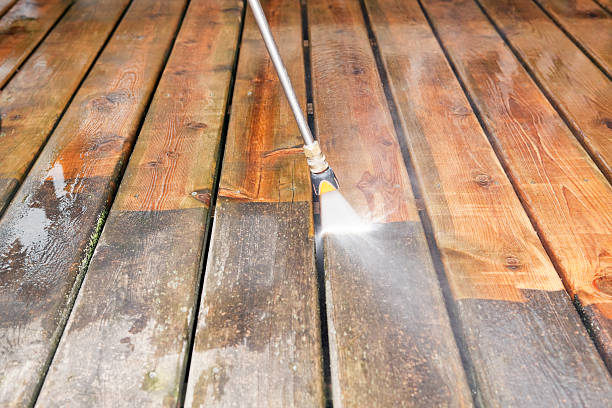 Best House Exterior Washing  in Lake Holiday, IL
